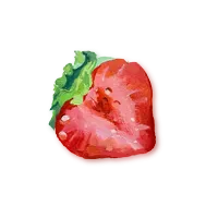 Freshly sliced strawberry