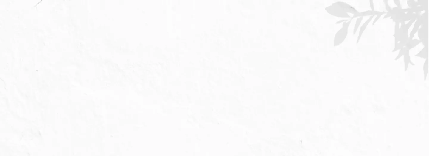 Alt: Silhouette of a juniper branch | Filename: juniper-gin-branch.jpg