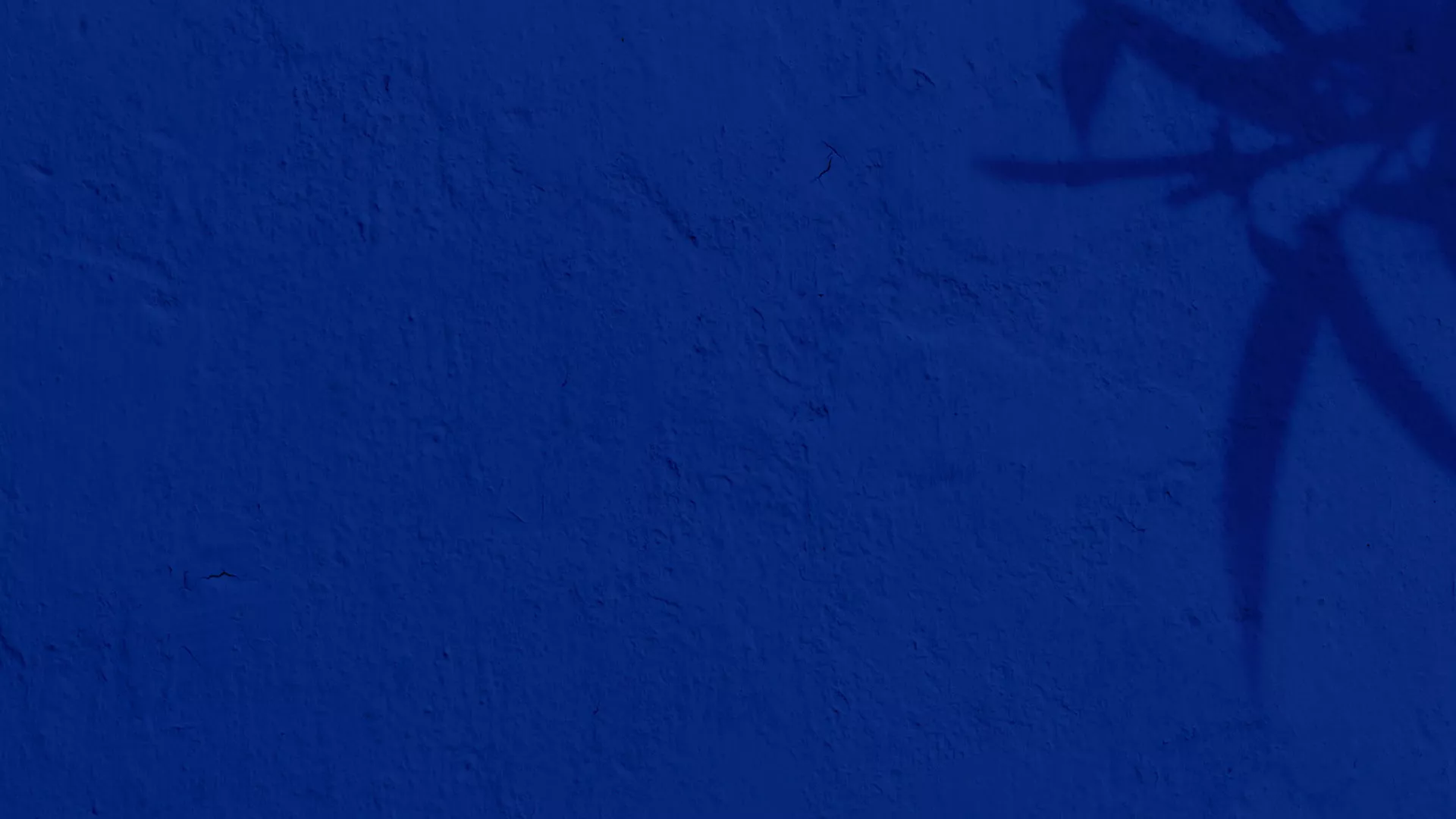 Alt: Background image in Larios blue with stucco texture and a silhouette of plant leaves. | Filename: larios-blue-bg-stucco.jpg