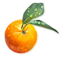 A fresh orange 
