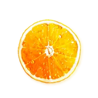 Freshly sliced orange