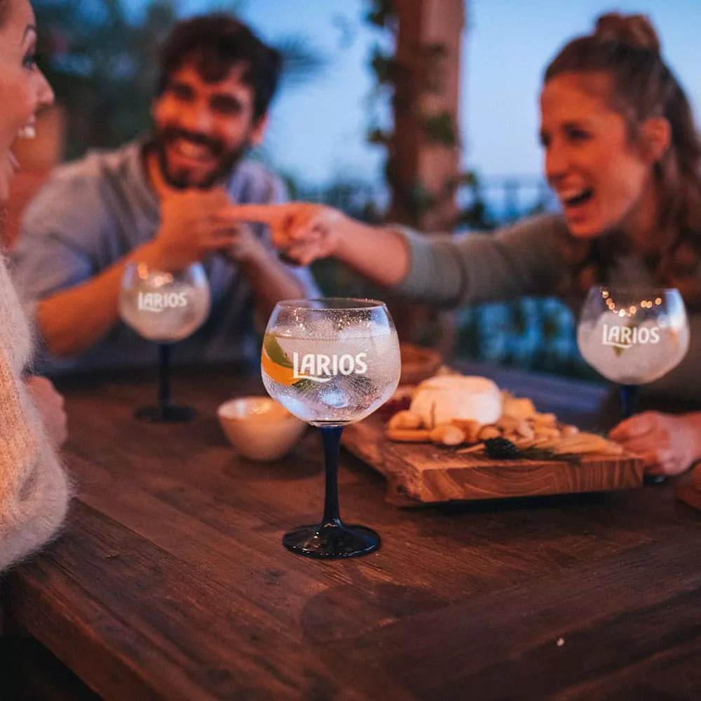 Friends sitting together at a table outside with a cheeseboard and glasses of Larios Gin Tonic Mediterranean 