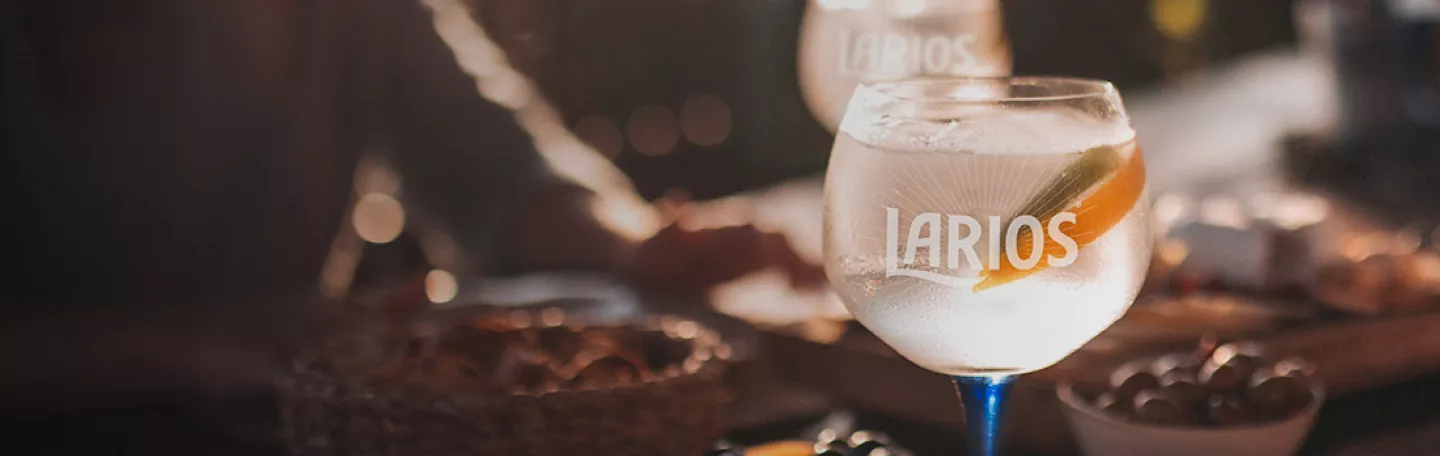 A filled Larios glass garnished with lemon and lime slices on a table with olives in bowls