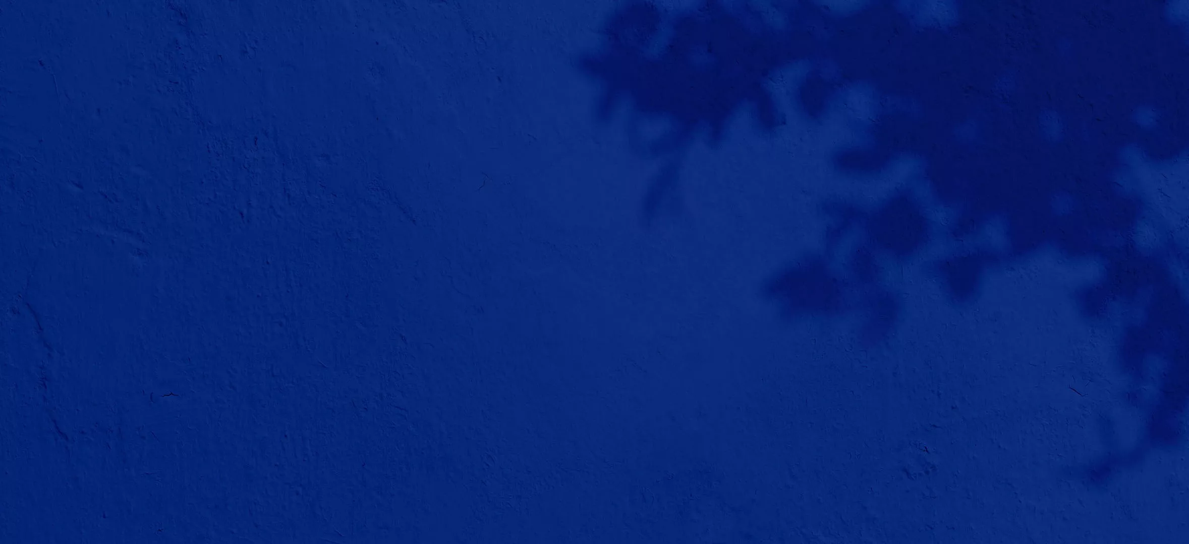 blue colored wall background with tree leaves shadow.