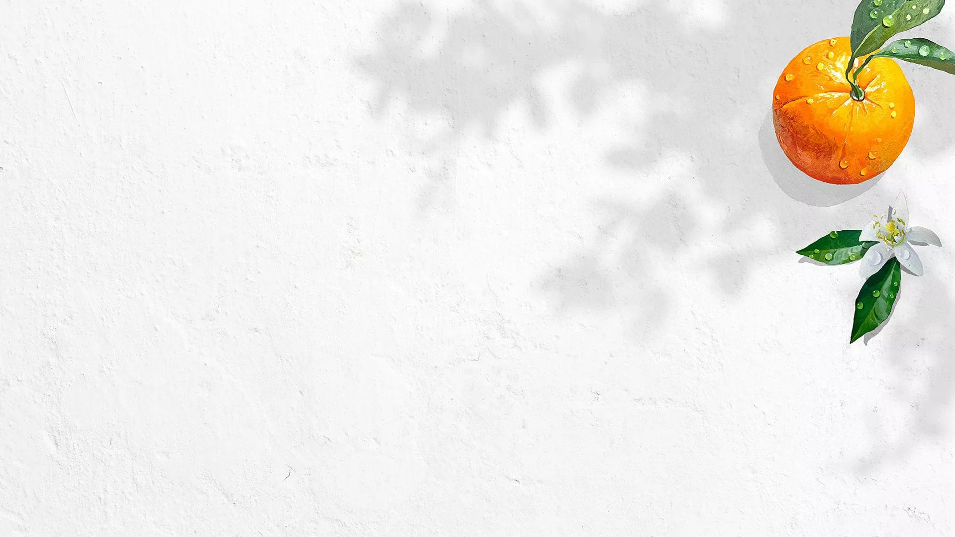 Larios white wall background beside an orange branch.