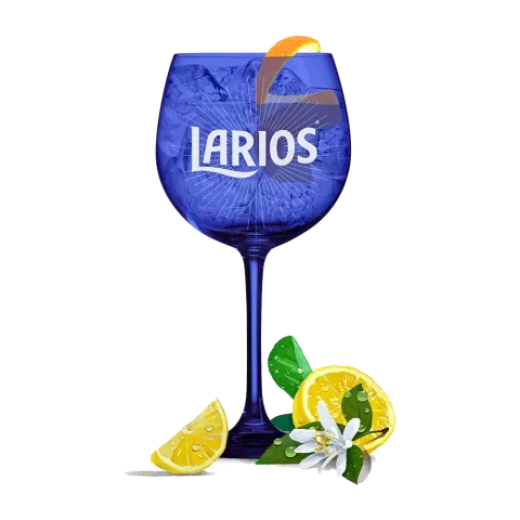 larios-gin-tonic-mediterranean-cup